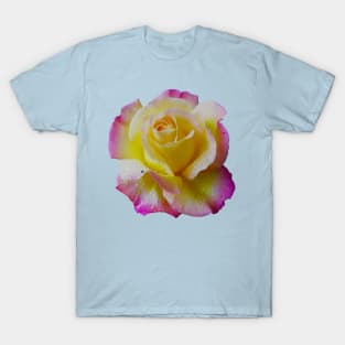 Pretty Yellow and Pink Rose T-Shirt